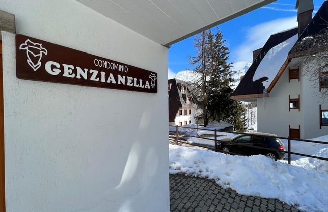 Studio Genzianella Ski In-ski Out Mt 100 - Photo 15