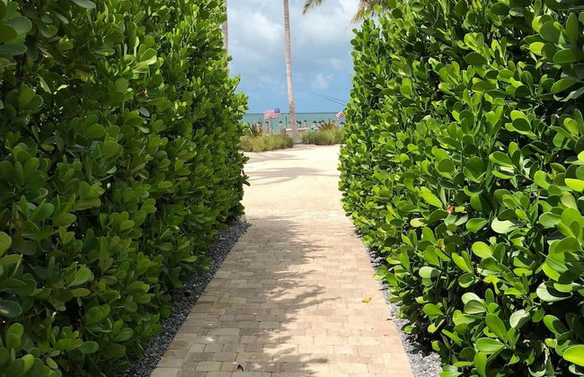 7 Waterfront 4bed 3bath Pool Home - Photo 11