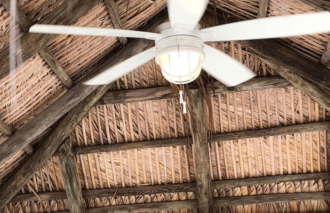 7 Waterfront 4bed 3bath Pool Home - Photo 10