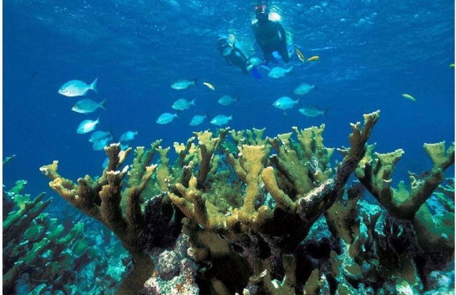 4 Beautiful 4 Bed 3 Bath Pool Home w Free Dock - Photo 34