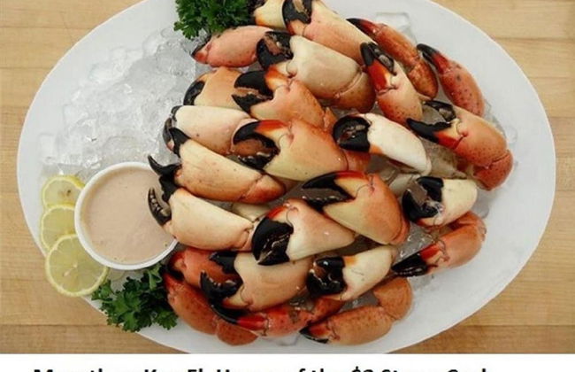 7 Waterfront 4bed 3bath Pool Home - Photo 31