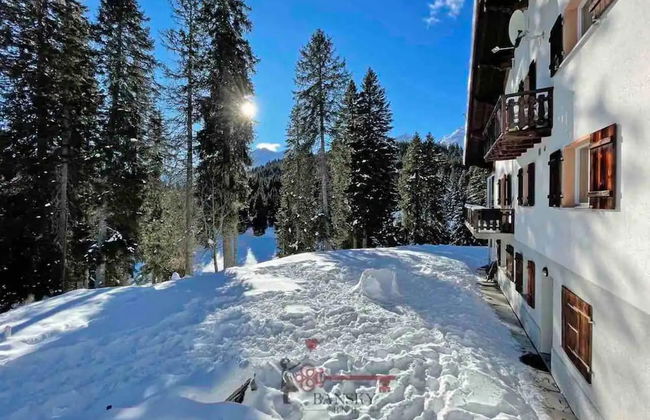 Chalet 5 Stars San Bernardino SKI Slopes Hiking - Foto 14
