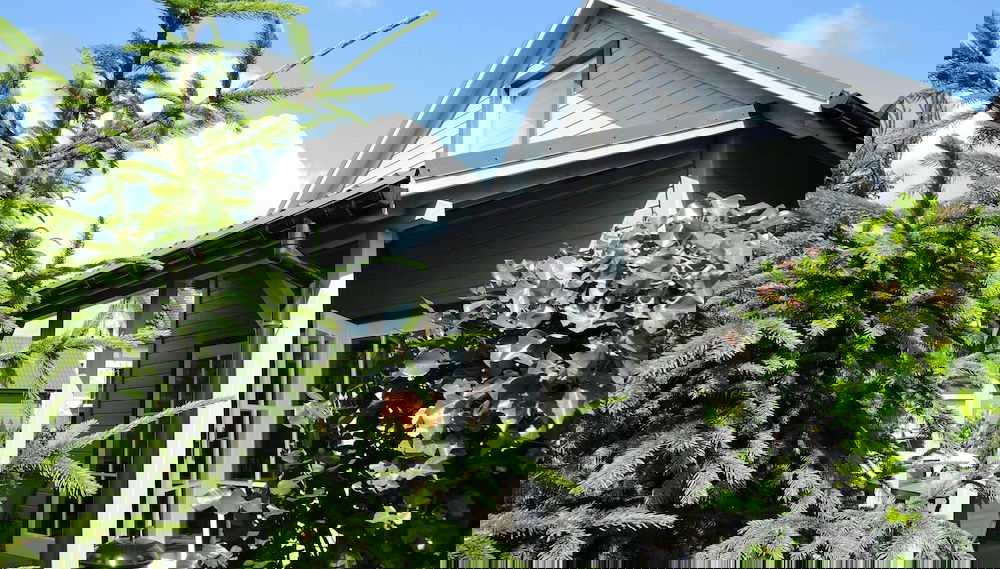 Imagem principal