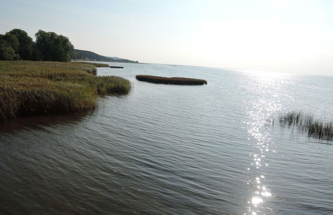 Holiday Home Sulomino With Private Beach - Photo 25