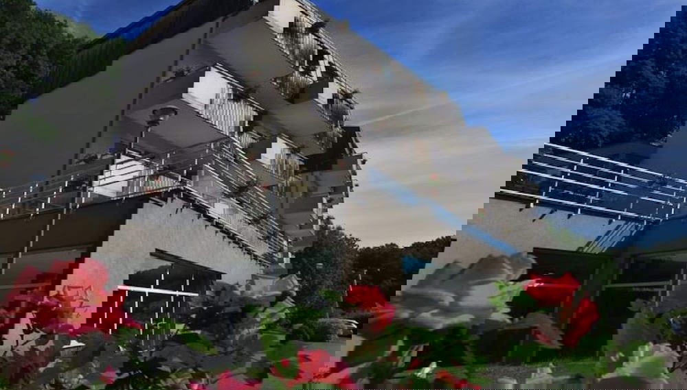 Imagem principal