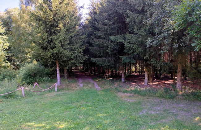 Large Holiday Home for Nature Lovers - Photo 25