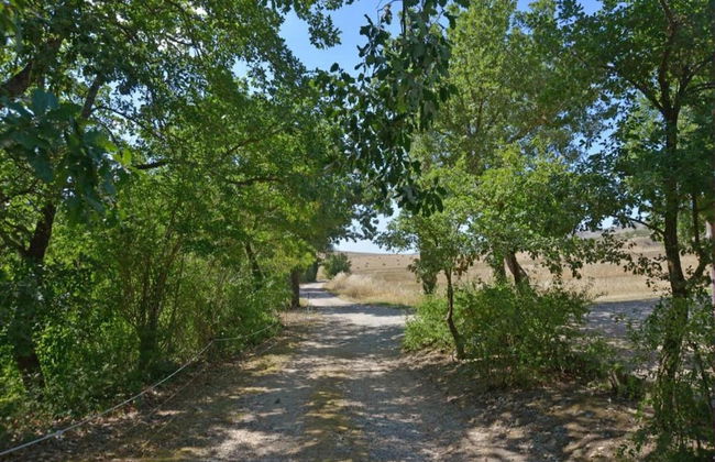 Spacious House in Pienza - Foto 35