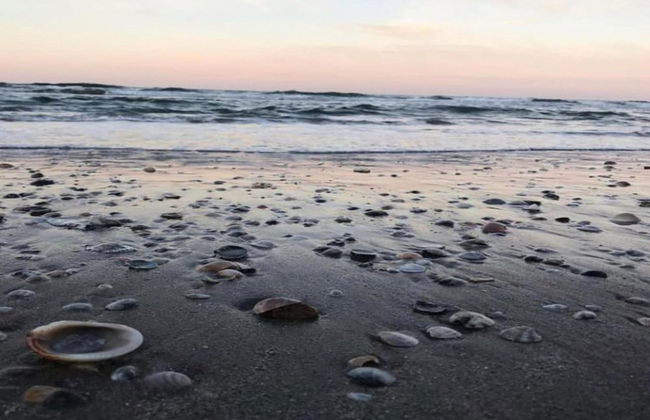 Lovely Holiday Home in Monte Colombo on Farm - Foto 79