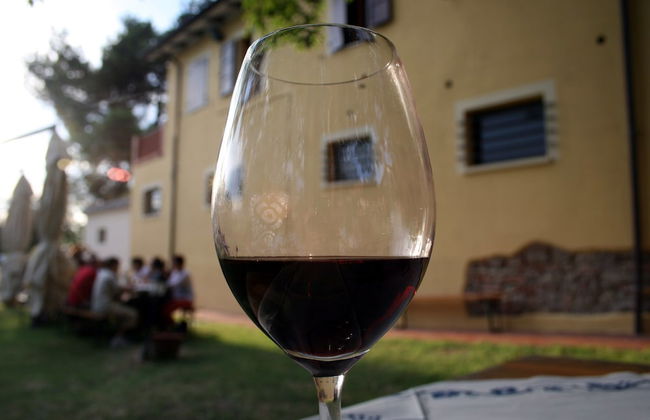 Lovely Holiday Home in Monte Colombo on Farm - Foto 41