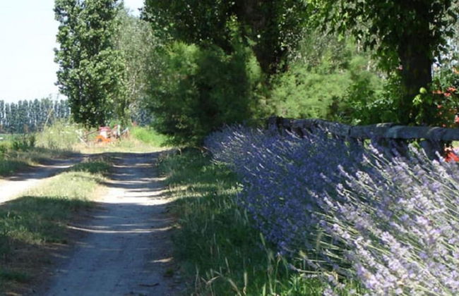 Characteristic Apartment in Codigoro With Pool - Foto 48