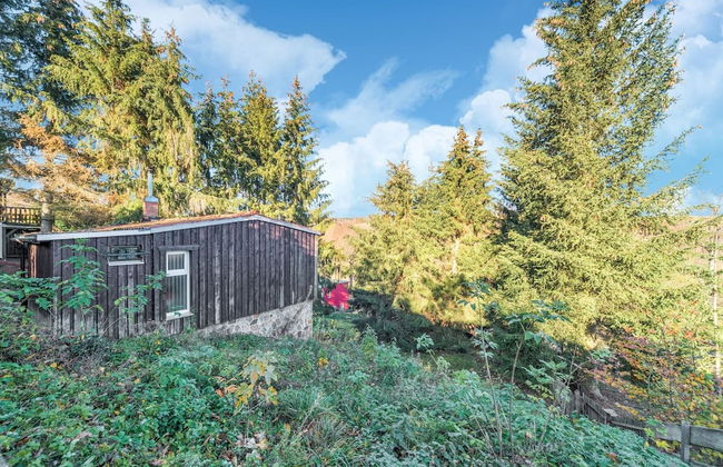 Comely Holiday Home in Guntersberge Near Forest - Foto 31