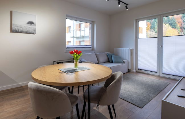 Apartamenty Sun & Snow River Park - Foto 33