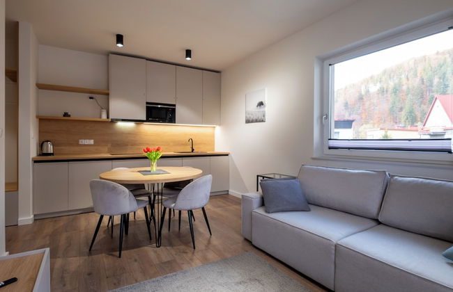 Apartamenty Sun & Snow River Park - Foto 16
