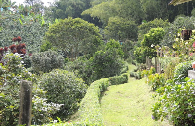 Entre Guaduas - Foto 33