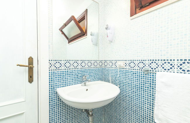 Eucalyptus 205 - Foto 6