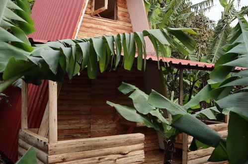 Photo 23 - Banana Eco Camp