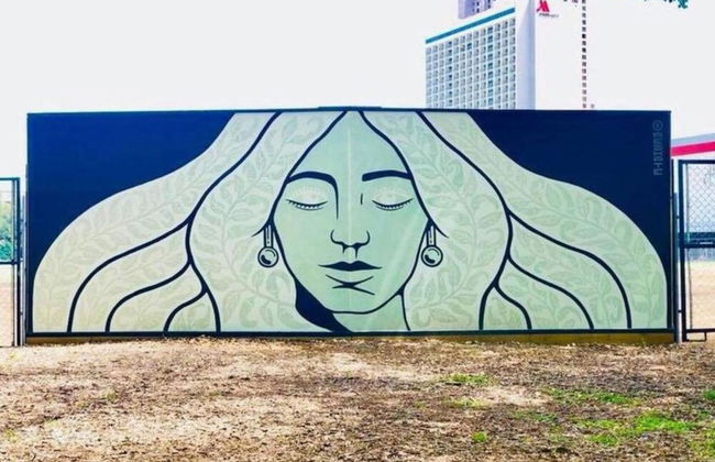 Wonderful 3 BR 2 BA Near Downtown - Foto 27