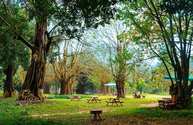 Armin Homes Studio Haven Park Ecopark - Foto 25