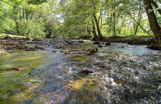 Wandering Creek - 2 Bedrooms, 1 Baths, Sleeps 6 Cabin by RedAwning - Foto 20