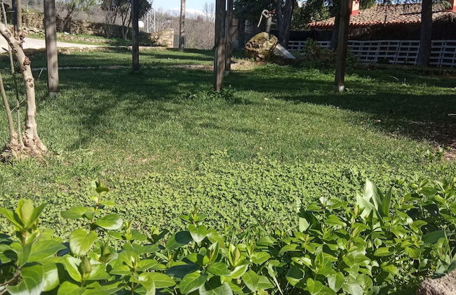 LA CASONA - Foto 14