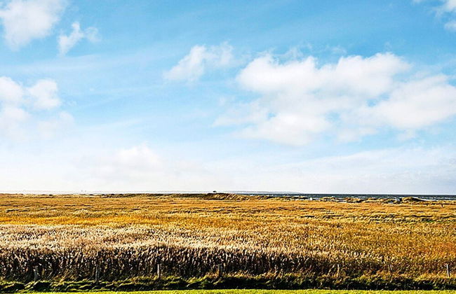 6 Personen Ferienhaus in Wendtorf - Foto 12