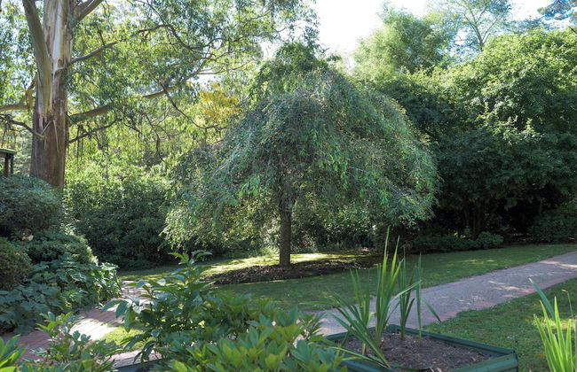 Botanica Retreat - Village Spa & Stay - Foto 23