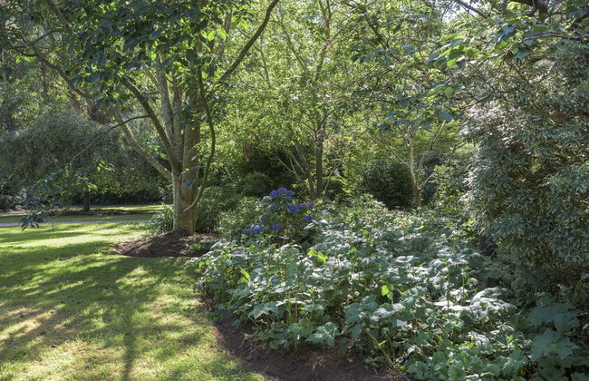 Botanica Retreat - Village Spa & Stay - Foto 20