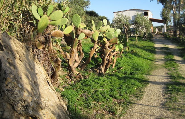 L Agave e la Palma Nana - Foto 17