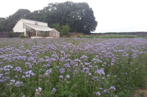 Photo 18 - Croan Cottages Self Catering