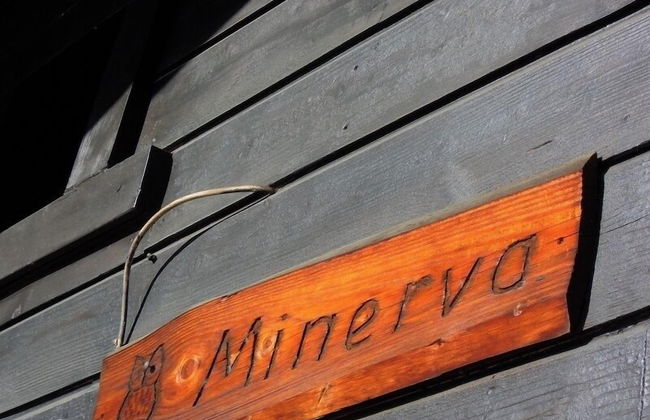 Minerva Antares - Foto 17