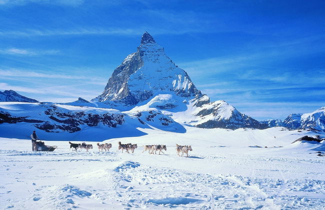 Glacier Views & Ski Trails - Foto 19