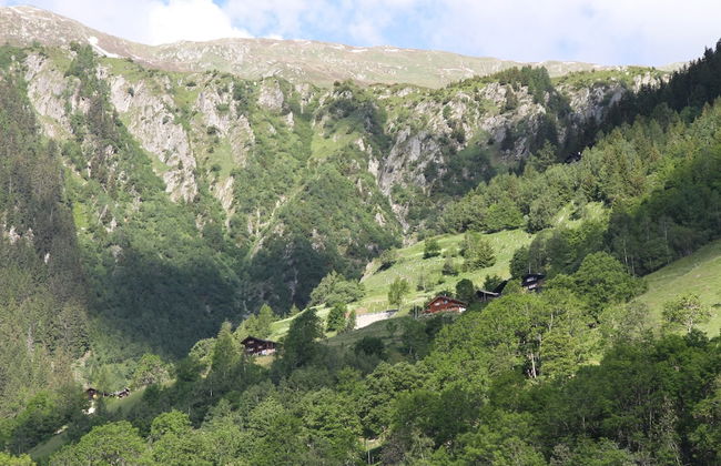 Glacier Views & Ski Trails - Foto 16