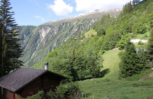 Glacier Views & Ski Trails - Foto 25