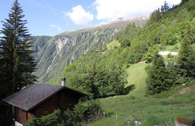 Glacier Views & Ski Trails - Foto 17