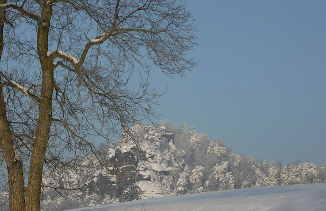 Ferienwohnung, Struppen - Foto 19