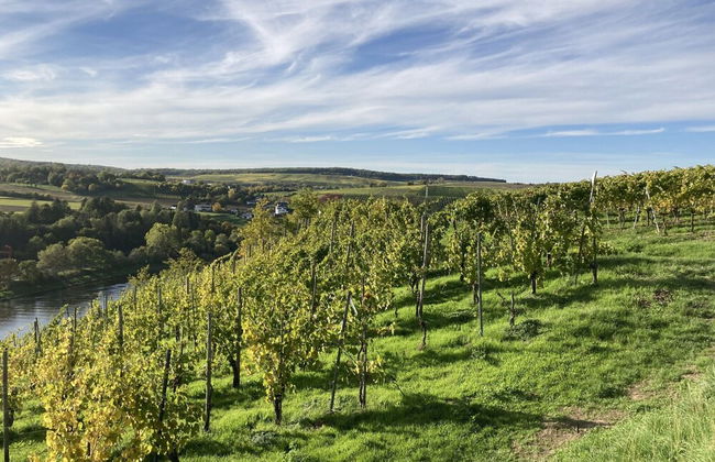 Lovely Holiday Home in Veldenz near Mosel River - Foto 24