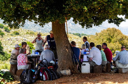 Photo 46 - Enagron Cretan Ecotourism Village