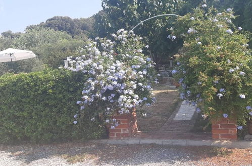 Photo 46 - Robi- Swimming Pool and Beautiful Garden - A1-žuti