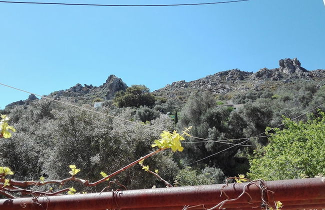 Garden Of Olive Trees - Foto 20