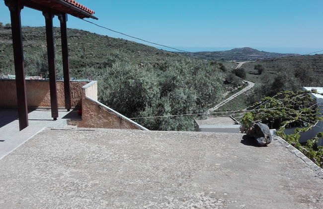 Garden Of Olive Trees - Foto 21