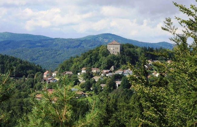 Chalet in Saldenburg Near Hiking Trails - Foto 24