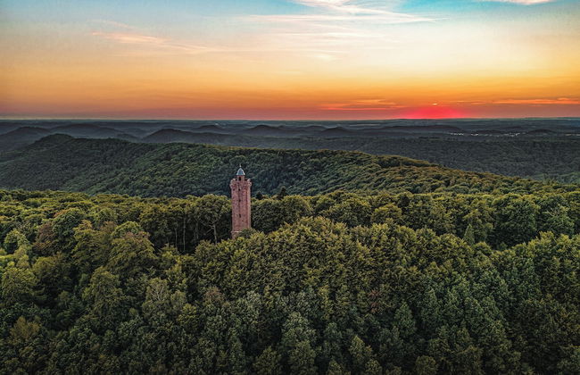 Landgasthaus zur Krone - Foto 18