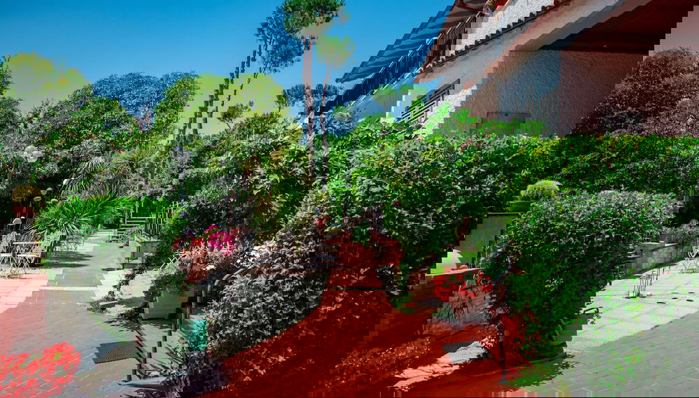 Imagem principal