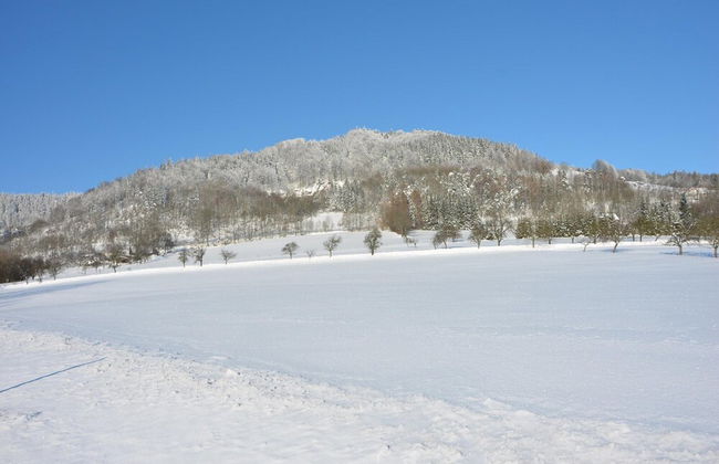 Chalet in Mala Skala Near Ski Slopes - Foto 37