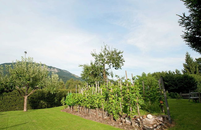Apartment in St. Johann in Tyrol With a Garden - Foto 21