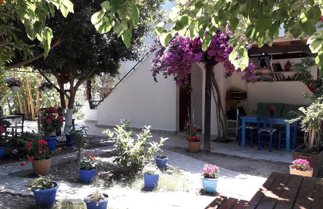 Paradise Gumusluk - Foto 23