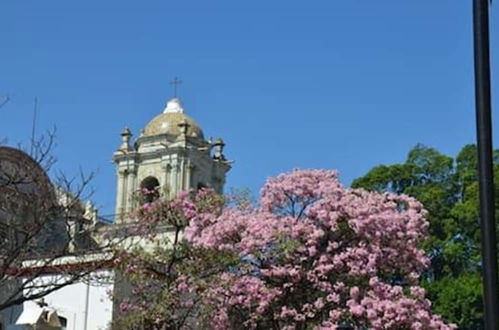 Foto 46 - Oaxaca at your doorstep