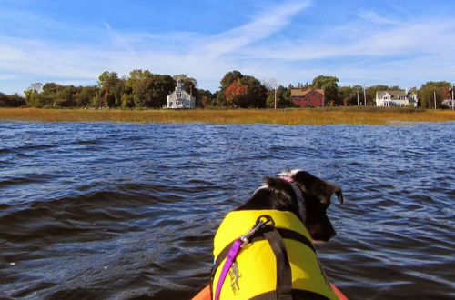 Photo 34 - Harborsides Neighbor