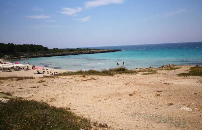 Onde e Gabbiani - Foto 21