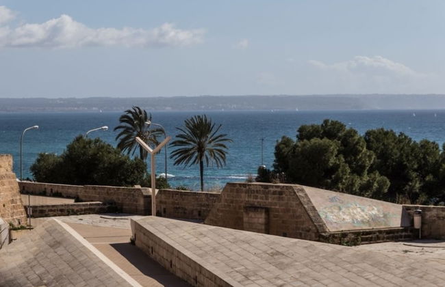 Historcal House Palma - Photo 25